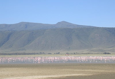 Flamingos in Ngorongoro Crater