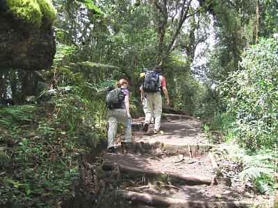 Kilimanjaro Climb Machame Route