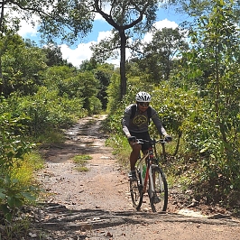 Cycling in Coffee Plantations