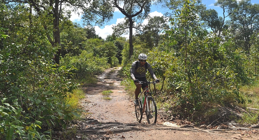 Cycling in Coffee Plantations