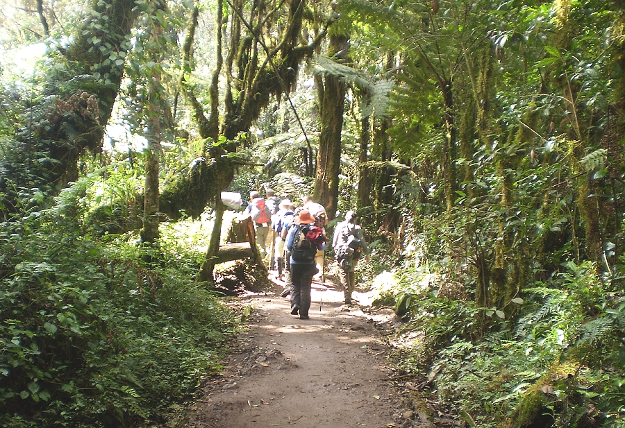 Kilimanjaro hike to Mandara
