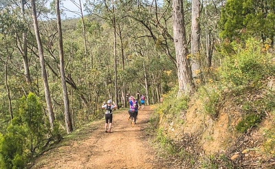 Kilimanjaro Run Trail